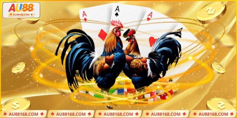 Cựa dao làm tăng thêm kịch tính cho trận đấu