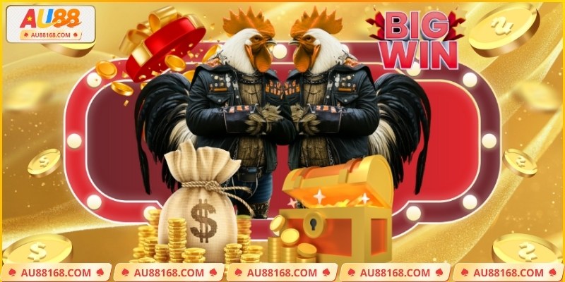 Đá gà AU88 với từng pha ra đòn được trực tiếp sắc nét