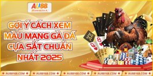 Gợi Ý Cách Xem Màu Mạng Gà Đá Cựa Sắt Chuẩn Nhất 2025