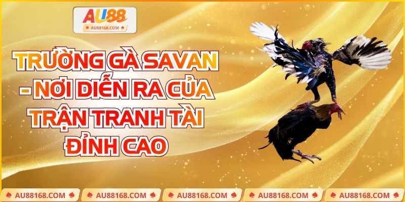 Trường gà Savan